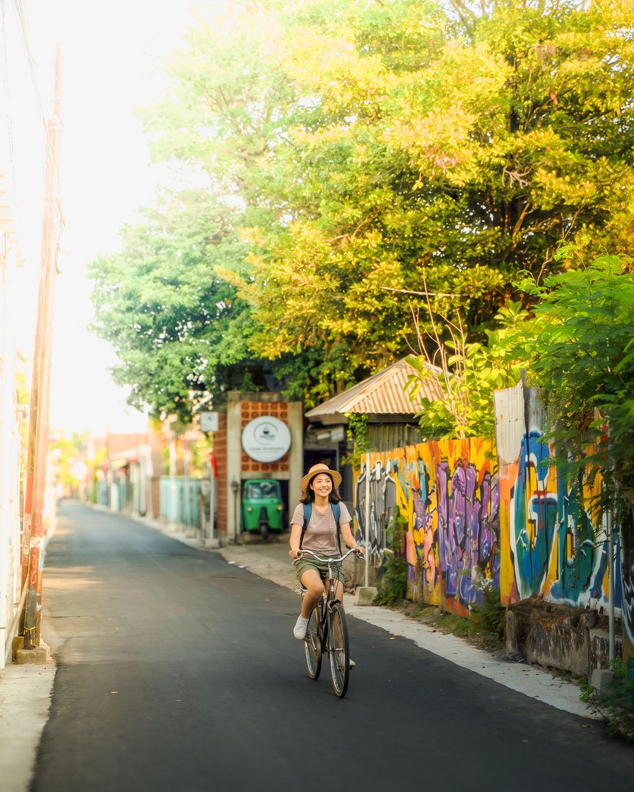 A tree-lined alley near the homestay with murals and a passing cyclist.