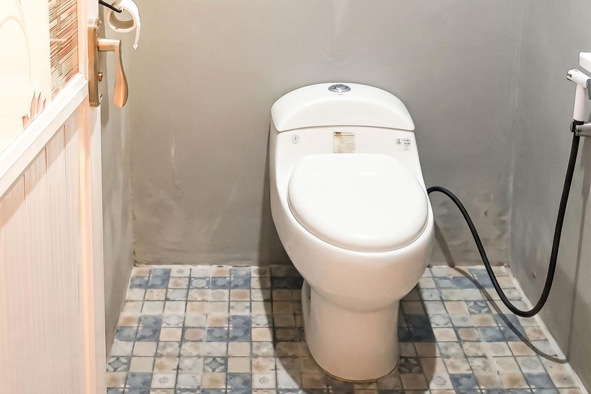 Private bathroom with toilet, handheld shower, and patterned floor tiles.